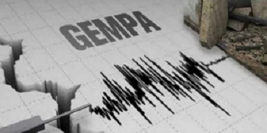 Gempa Magnitudo 5,1 Berpusat di Darat Guncang Jayawijaya