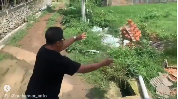 viral video pria buang telur ke sawah