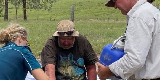 Hilang 18 Hari di Perkebunan, Pria Australia Selamat karena Makan Jamur