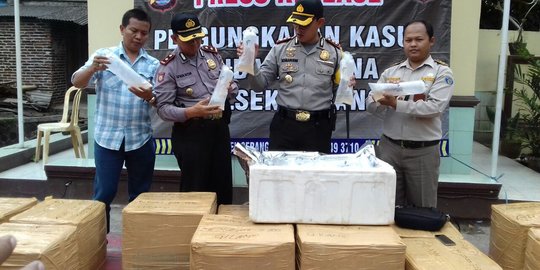 KKP Lepasliarkan 16.975 Benih Lobster Hasil Selundupan ke Perairan Pandeglang