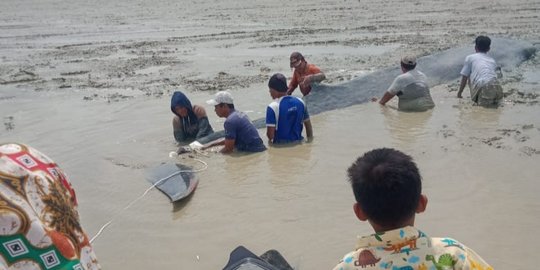 Seekor Paus Terdampar di Sungai Kong OKI