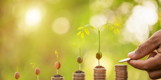 dana investasi properti