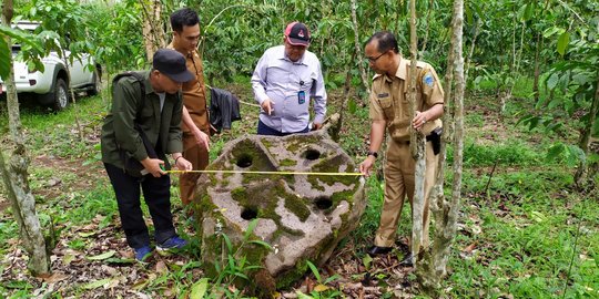 5 Megalit Berbentuk Lumpang dan Lesung Ditemukan di Kebun Kopi Warga Lahat