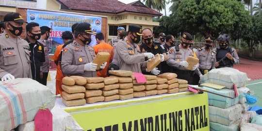 Polisi Sergap Truk Bawa 570 Kg Ganja Hendak Dikirim ke Tangerang, 1 Pelaku Ditembak