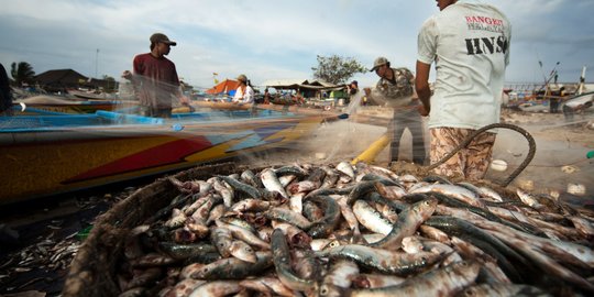 Banyak Nelayan Sumut Bekerja di Kapal Malaysia dan Curi Ikan Indonesia