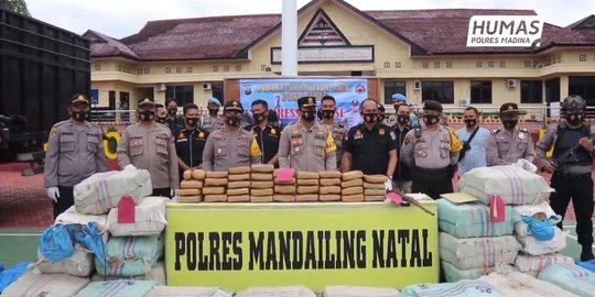 Dapat Upah Rp50 Juta, 3 Kurir Asal Sumut Gagal Selundupkan 570 Kg Ganja ke Jakarta