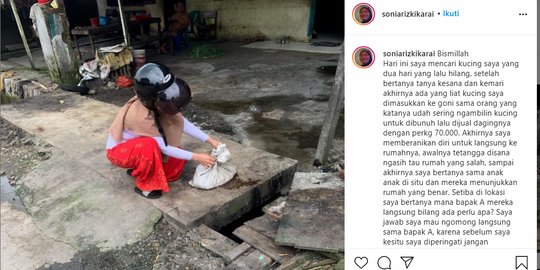 Marah Hewannya Dibunuh, Wanita Ini Bongkar Praktik Jagal Kucing di Medan