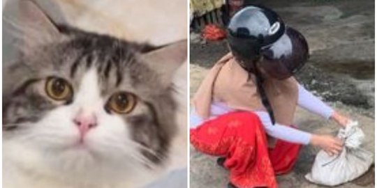 Temukan Kucingnya dalam Kondisi Tragis, Curhatan Wanita di Medan Ini Jadi Perhatian