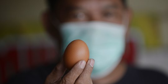 Peternak Ayam Rugi Rp 3.000 dari Tiap Kilogram Telur yang Dijual