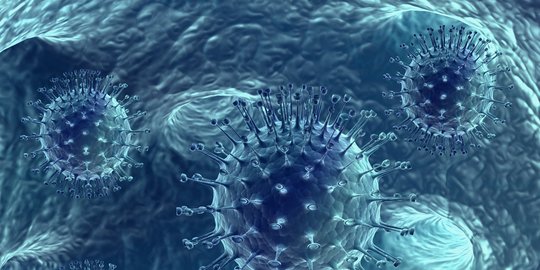 Mengenal Virus Nipah yang Perlu Diwaspadai, Ketahui Gejala dan Penularannya