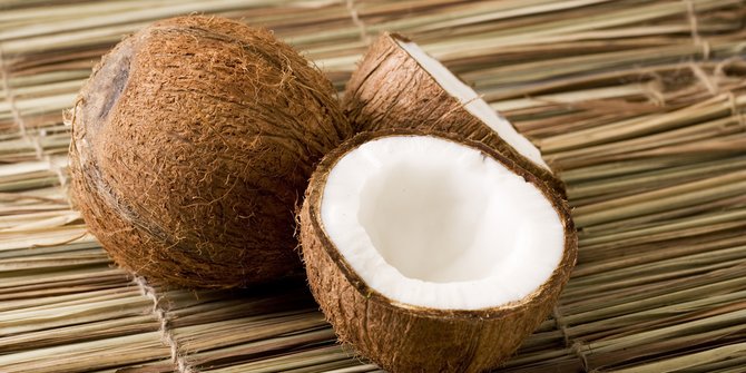 The characteristics of coconut trees that need to be known, plants with fruit rich in benefits