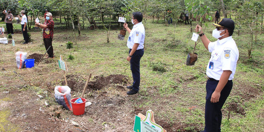 PT KAI Tanam 18.000 Bibit Pohon di Lereng Gunung Sindoro-Sumbing