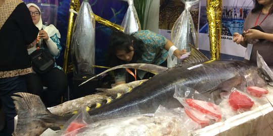 Ikan Tuna Indonesia Kantongi Sertifikat Ekspor ke AS dan Eropa