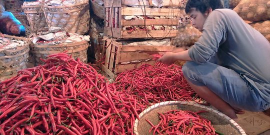 Daya Beli Turun Jadi Salah Satu Penyebab Harga Cabai Merah Mahal