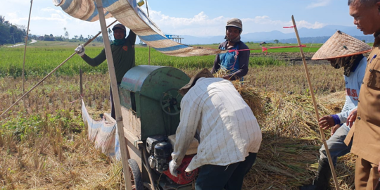 Program Agro Solution Dongkrak Kapasitas Produksi Padi Hingga 80 Persen