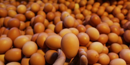 Kementan Prediksi Harga Telur Ayam akan Turun Hingga Pertengahan Februari 2021