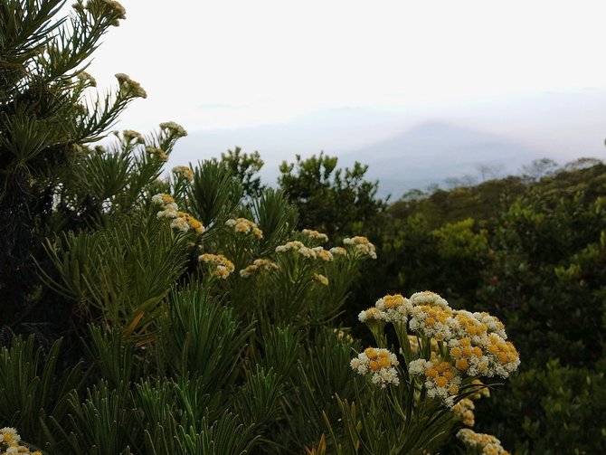 taman nasional gunung ciremai