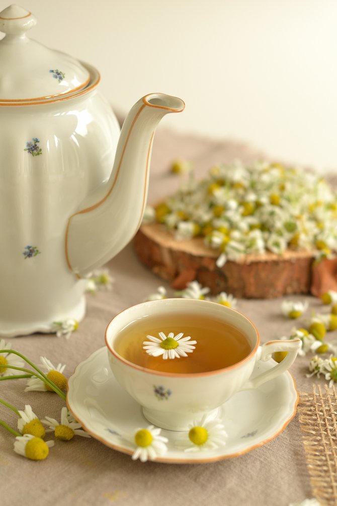 ilustrasi teh feverfew