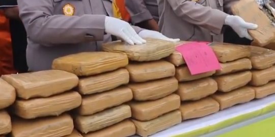 Kasus Narkoba di Cirebon Alami Peningkatan, Barang Bukti Ganja Melonjak Tajam