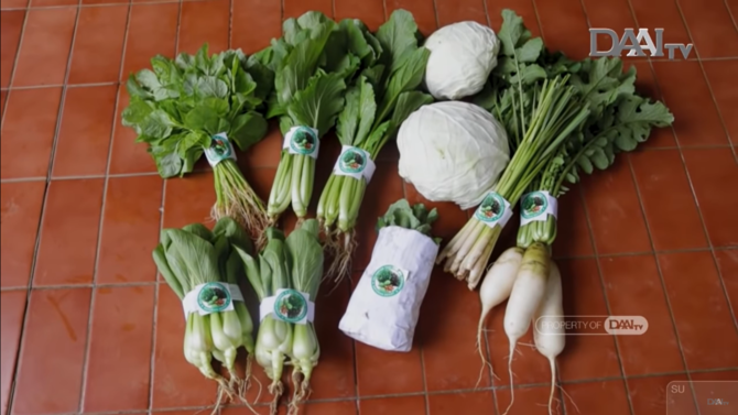 soemadi petani organik di cisarua yang ubah stigma harga mahal sayuran organik di pasaran