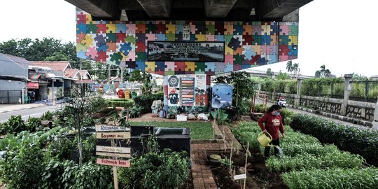 Menyulap Kolong Flyover Jadi Taman Sayur