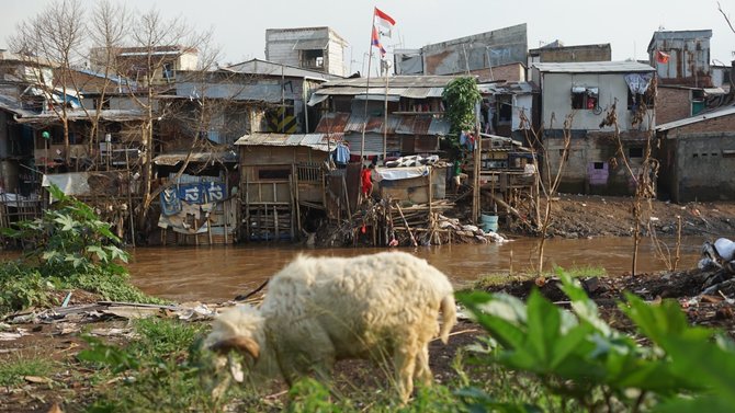 permukiman penduduk semi permanen di bantaran sungai ciliwung
