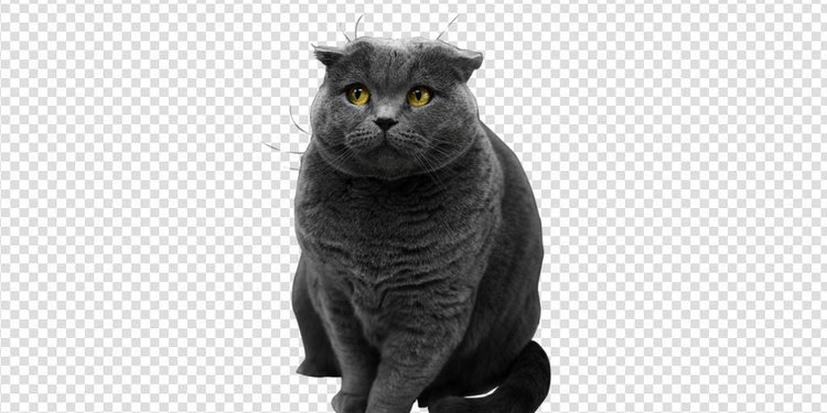 Cara Hapus Background Foto Menggunakan Photoshop Lebih Mudah Lebih Rapi Merdeka Com
