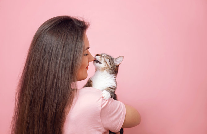pujian hingga stres ini 4 alasan di balik kebiasaan kucing menjilati pemiliknya