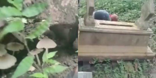 Viral Video Kawanan Remaja Angkat Pusara Kuburan Demi Ambil Jamur