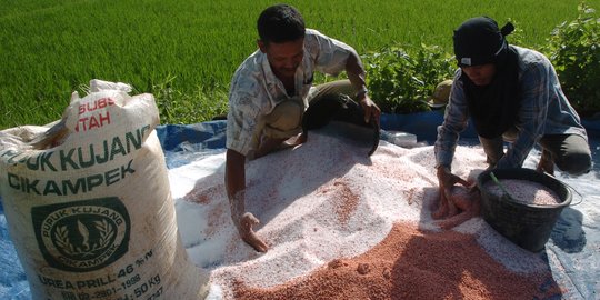 Kementan Tambah Alokasi Pupuk Bersubsidi 454.864 Ton untuk Jatim