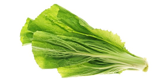 10 Resep Olahan Sawi Pahit Ala Rumahan Lezat Dan Sederhana Mudah Dibuat Merdeka Com