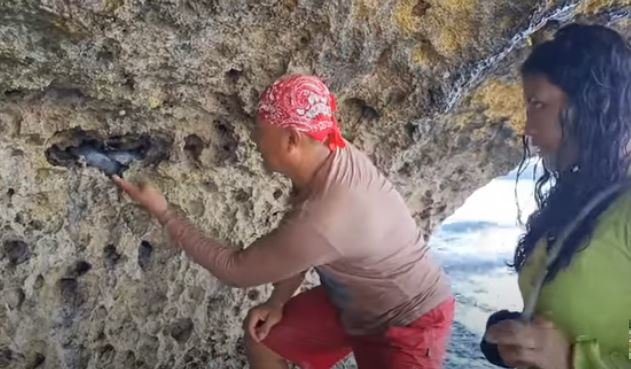 heru gundul dan ular di batu karang