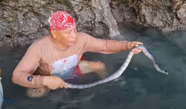 heru gundul dan ular di batu karang