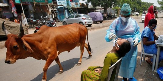 Survei: Satu dari Lima Penduduk India Positif Covid-19