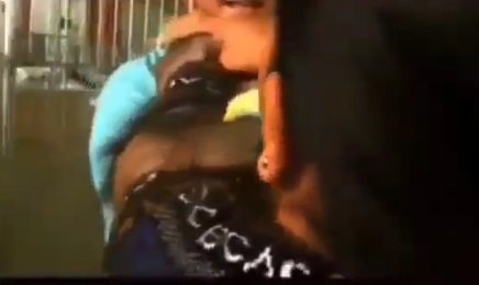 video perpisahan pemilik dan bayi orangutan