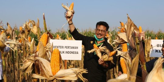 Mentan Bantah Food Estate Kalteng Gagal Panen