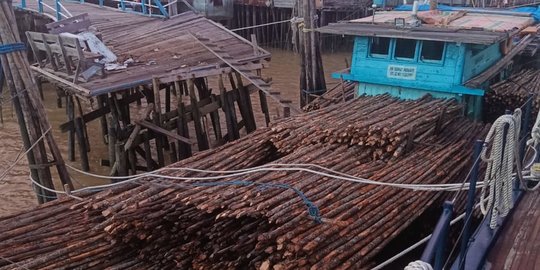 Bea Cukai Gagalkan Penyelundupan 5.700 Batang Kayu Teki Ilegal ke Malaysia
