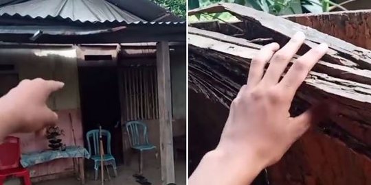 Viral Video Pelajar Tak Malu Pamerkan Rumahnya dari Kayu, Ada yang Sudah Keropos