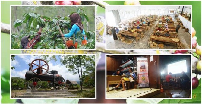 perusahaan daerah perkebunan pdp kahyangan jember jawa timur