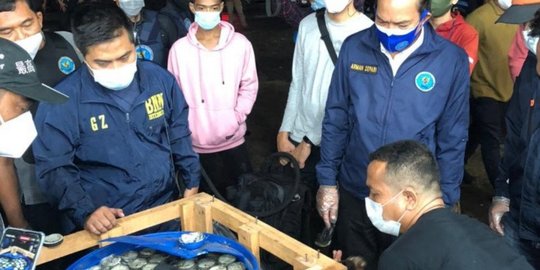 BNN Gagalkan Penyelundupan 450 Kg Ganja di Parung, Dikemas dalam 6 Drum