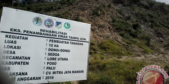 Tambang Emas Ilegal Marak Lagi di Dongi-Dongi Sulteng