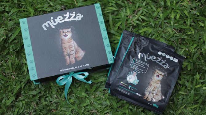 4 kesalahan memberikan makanan kucing anggora bisa ganggu kesehatannya