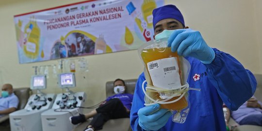 PMI Kota Tangerang Salurkan 410 Kantung Plasma Konvalesen ke RS Penanganan Covid-19
