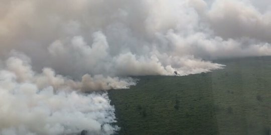 Musim Hujan, Lahan Gambut di Musi Banyuasin Terbakar