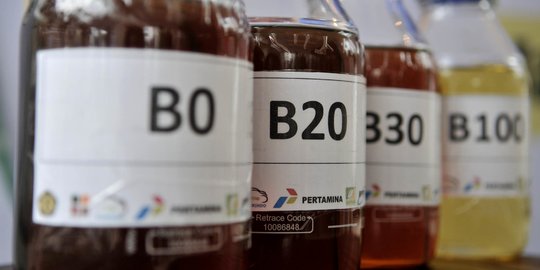 Subsidi Program Biodiesel 2021 Diprediksi Membengkak