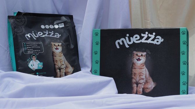 stres bikin bulu kucing himalaya rontok parah ini saatnya mulai waspada