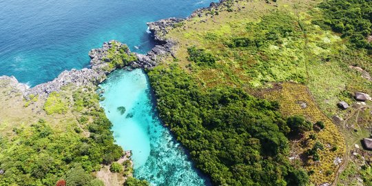 CEK FAKTA: Hoaks Pulau Sumba Dijual Lewat Situs Online