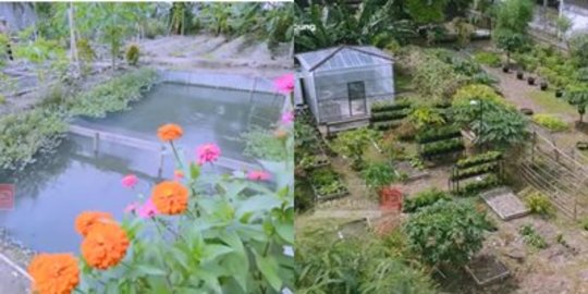 Dulu Tempat Sampah Lahan Ini Disulap Jadi Kebun-Kolam Ikan,Ini Potretnya Keren Banget