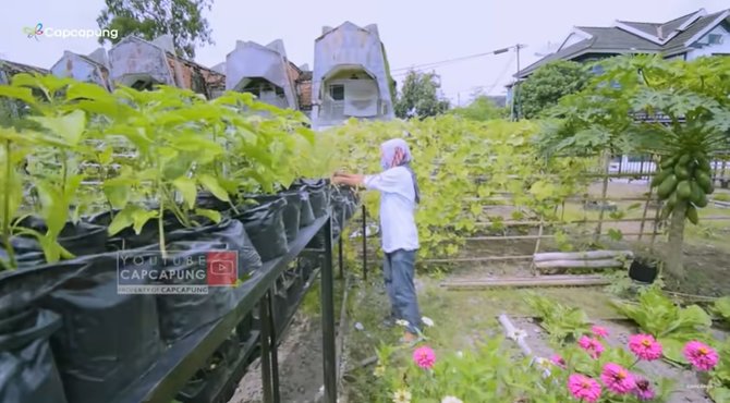 dulu tempat sampah lahan ini disulap jadi kebun amp kolam ikan