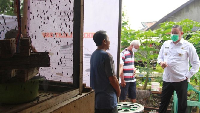 budidaya maggot di bekasi